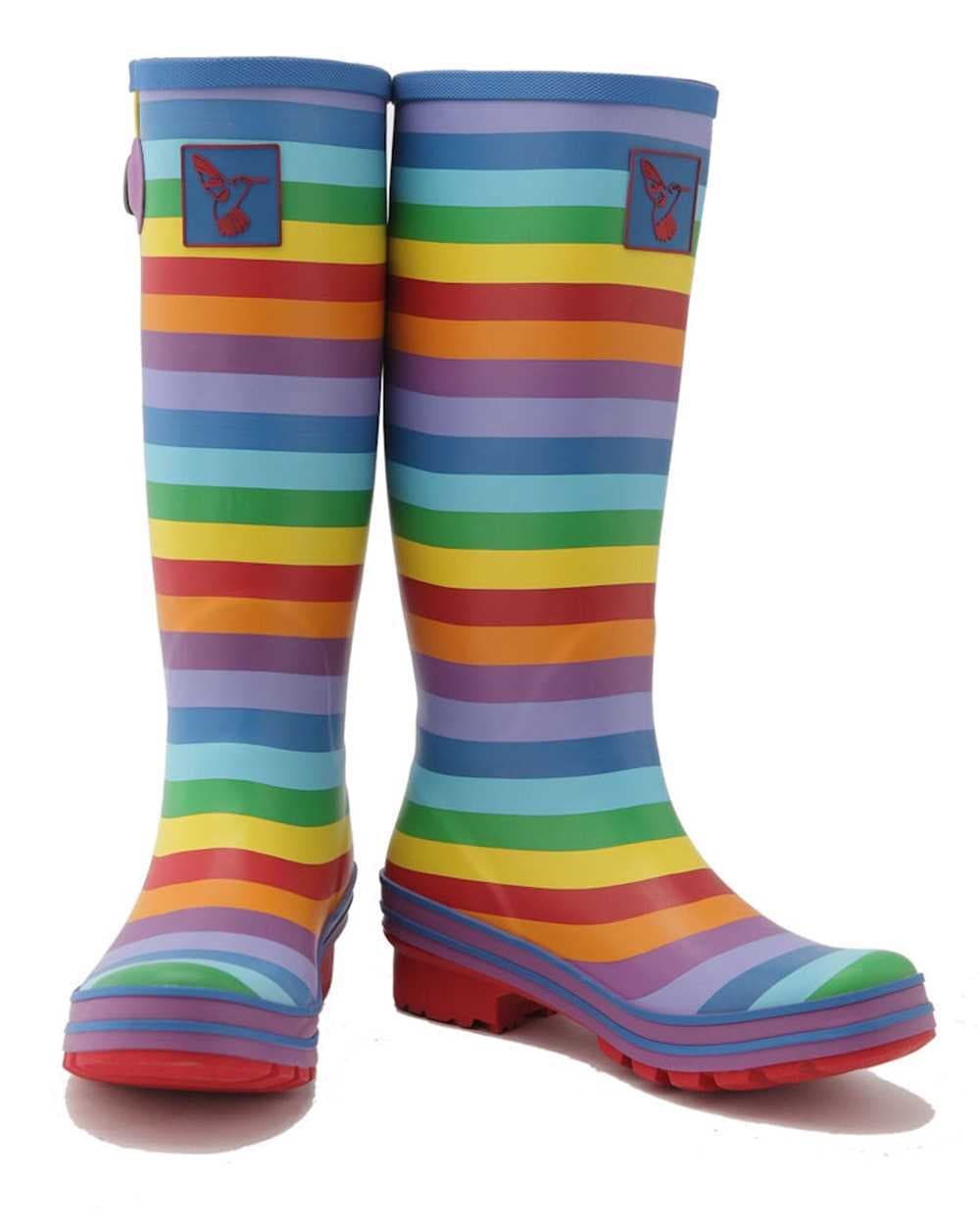 Evercreatures Rainbow Wellington Boots, view 2