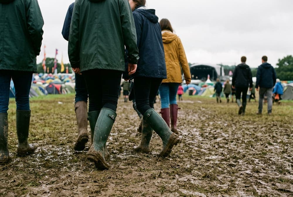 Festival Ready